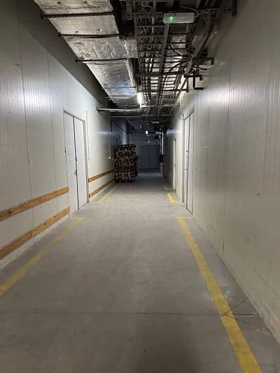 Hala magazynowo-produkcyjna 276 m² na Żeraniu, ul. Szałwiowa, od zaraz - miniatura 7