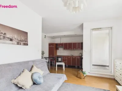Studio 33 m² z balkonem na wynajem – Warszawa, Śródmieście, Stawki - miniatura 4