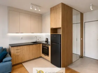 Nowoczesne studio 30 m² w Śródmieściu Gdańska, ul. Popiełuszki - miniatura 4