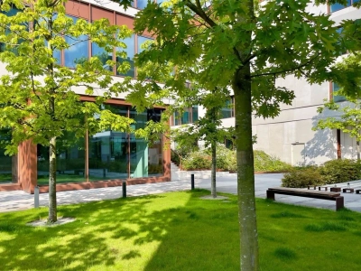 Lokal biurowy 220 m² na parterze przy marinie w Gdyni - miniatura 9