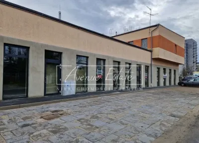 Lokal gastronomiczny 259 m² na parterze z dużymi witrynami – Centrum Zielonej Góry - miniatura 4