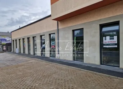 Lokal gastronomiczny 259 m² na parterze z dużymi witrynami – Centrum Zielonej Góry - miniatura 5