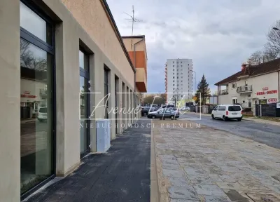 Lokal gastronomiczny 259 m² na parterze z dużymi witrynami – Centrum Zielonej Góry - miniatura 6