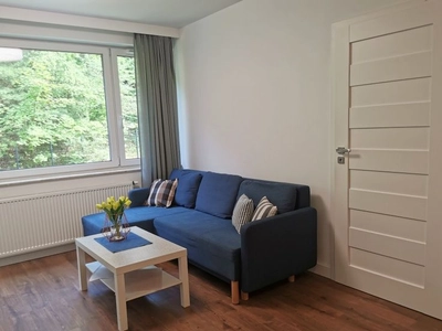 Nowoczesne dwupokojowe mieszkanie -  35 m²  na nowoczesnym osiedlu „Młoda Morena”. - miniatura 3
