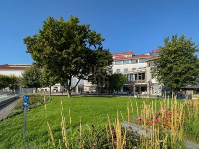 Lokal usługowy 273 m² na parterze, Bohaterów Monte Cassino, Sopot - miniatura 2