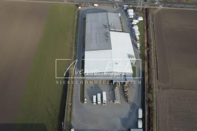 Magazyn z chłodnią 5084 m² do wynajęcia, Bronisze - miniatura 3