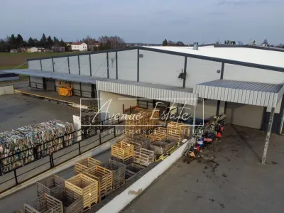 Magazyn z chłodnią 5084 m² do wynajęcia, Bronisze - miniatura 5