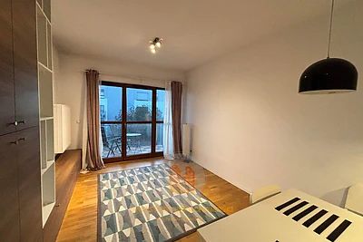 Mieszkanie 41 m² na wynajem, Wilanów, Błonia Wilanowskie, Aleja Rzeczypospolitej - miniatura 10