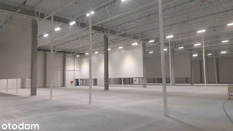 Magazyn chłodniczy 930 m² na wynajem, Gdańsk – doki, parking, regały - zdjęcie 1