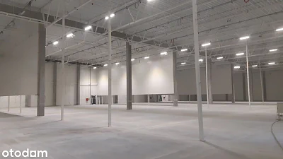 Magazyn chłodniczy 930 m² na wynajem, Gdańsk – doki, parking, regały - miniatura 1