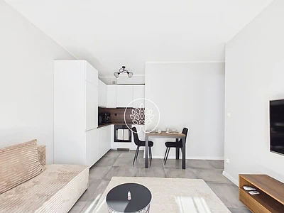 2-pokojowe mieszkanie po remoncie z tarasem 26 m², Toruń Bielawy - miniatura 2