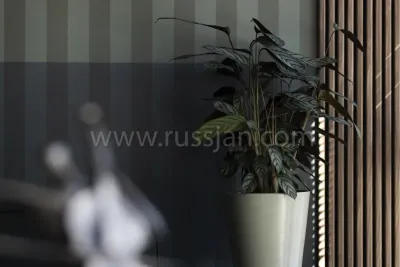 Studio 53 m² z widokiem na morze w Sopocie – Aquarius - miniatura 6