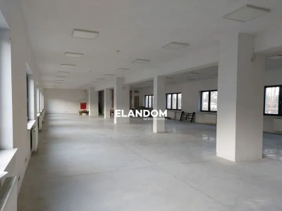 Niezależny lokal z potencjałem i dużym parkingiem - miniatura 3