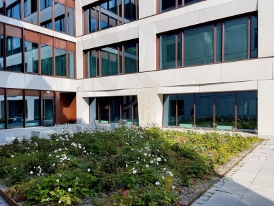 Lokal usługowy 540 m² przy marinie w Gdyni - miniatura 8